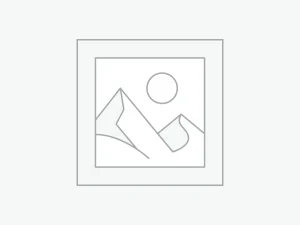 ルイ・ヴィトン ダミエリシャス コンパクトウォレット マルチカラー